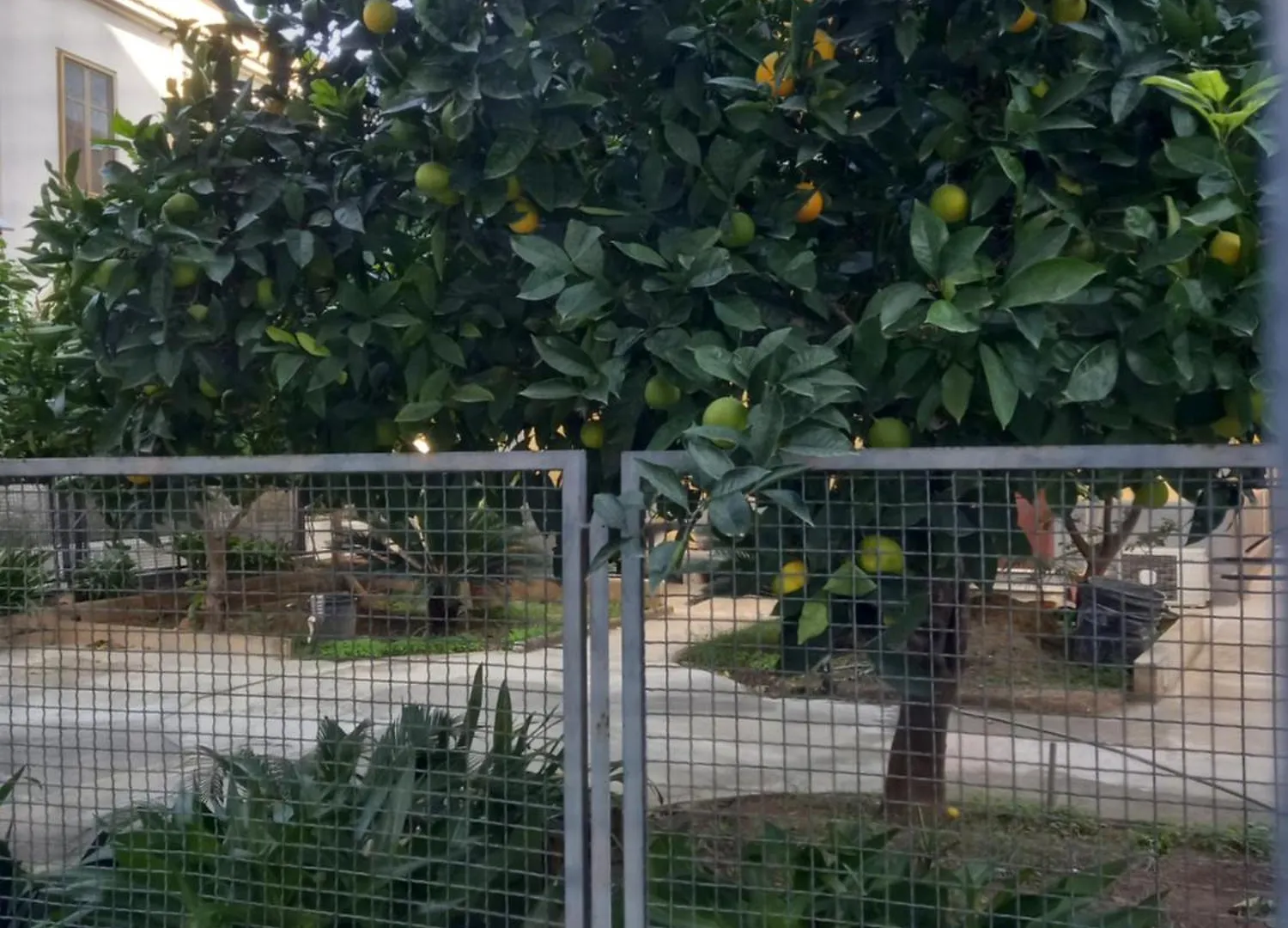 Momenti E Monumenti Villa Palermo 0*,